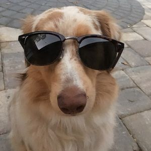 Meet your Posher, Riley